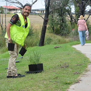 Revegetation at Goombridges 300x300