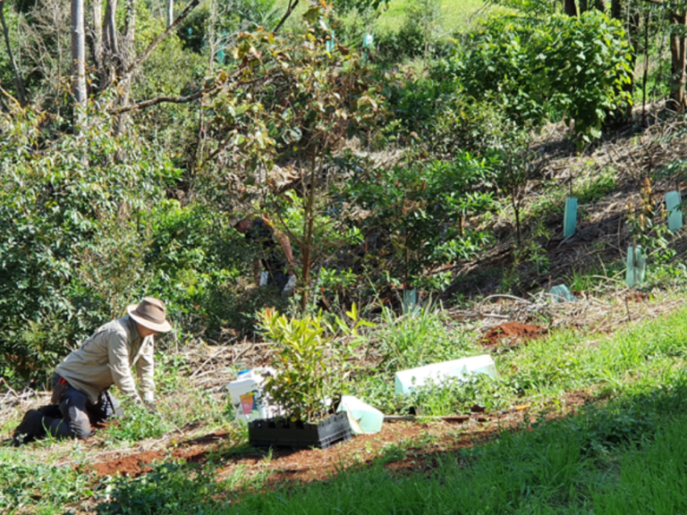 BUSHFIRE REVEGETATION PROJECT - Landcare NSW