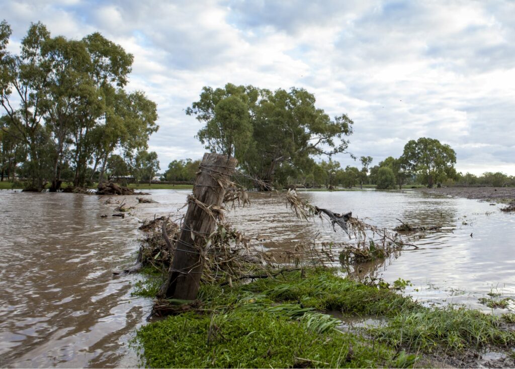 With the devastation we have seen on the North Coast and other parts of the state through flooding on a scale we’ve not seen or experienced before, we are all asking ourselves ‘how can we help?’, ‘how can we get money on the ground where it is needed most?’