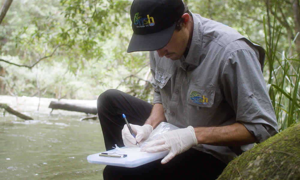 Media Release: Using water sampling to name the fish in our rivers!