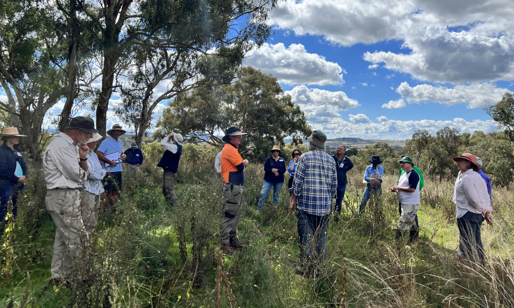 Building Connections and Understanding of Biodiversity in the Central Tablelands