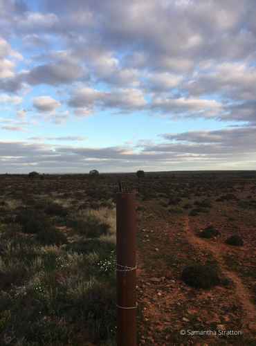 Far West Rangeland Rehydration Alliance – Field Day - Landcare NSW