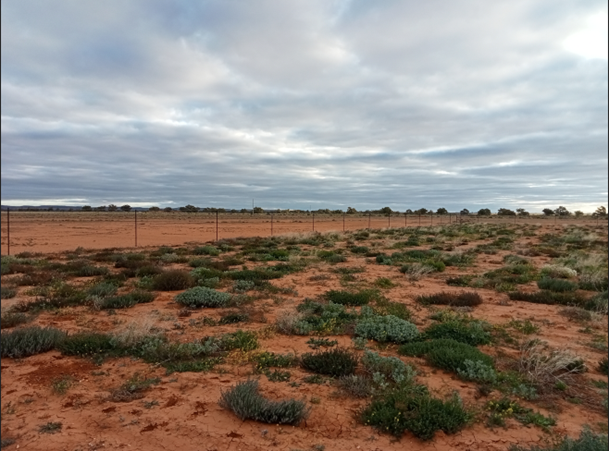 Landcare NSW Business Partner Leader Terry Harkness talks of his visit to White Cliffs for the Far West Rangeland Rehydration Alliance (FWRAA) field day hosted by Western Landcare NSW held on 6th- 7th July, 2022.