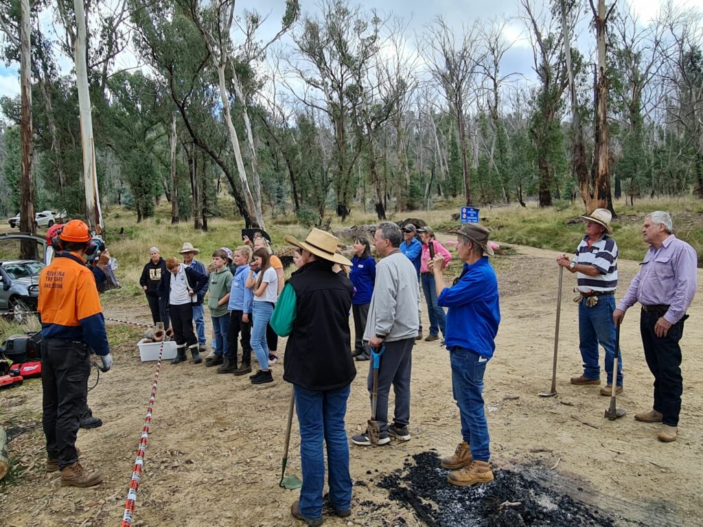 MEDIA RELEASE: TAILOR MADE FIRE RECOVERY PLANS KICK-START LOVE OF LANDCARE IN UPPER MURRAY