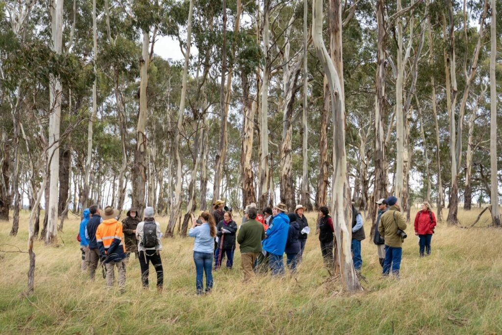 Announcement: Partnership with NSW Biodiversity Conservation Trust