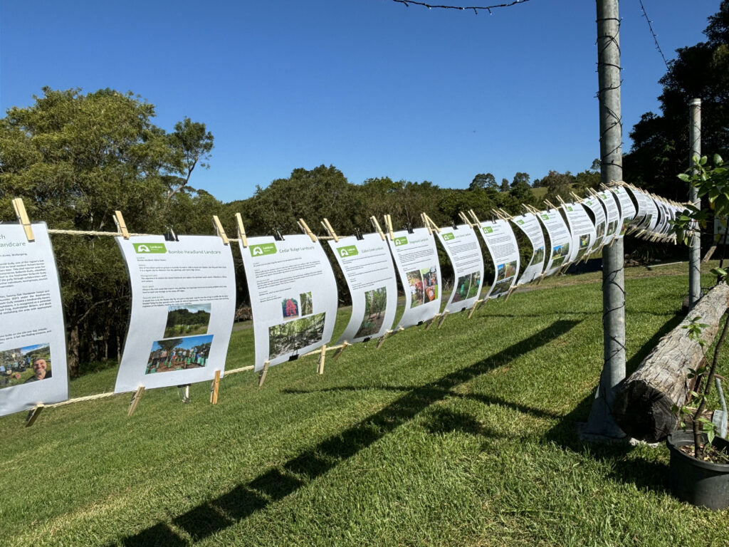 Celebrating 25 Years of Landcare Illawarra