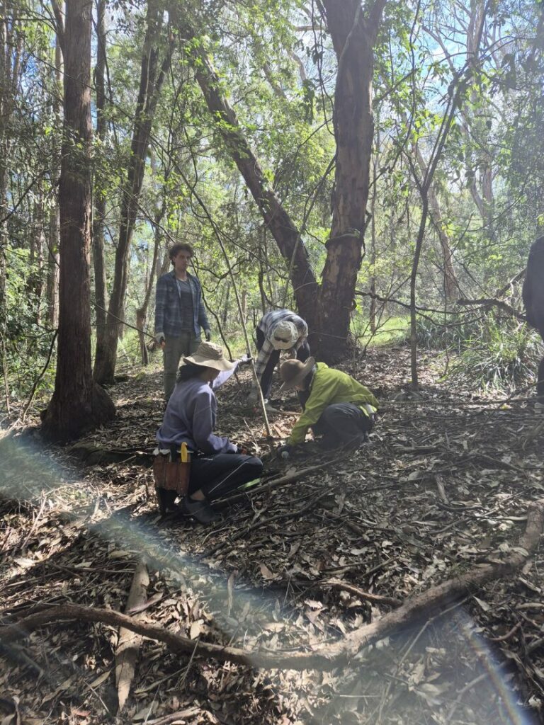 Greater Sydney Landcare