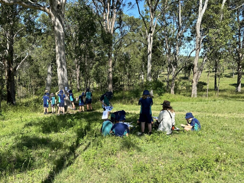 Clarence Landcare