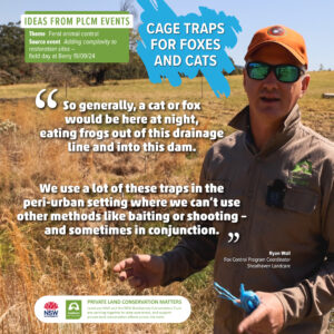 cage traps for foxes and cats