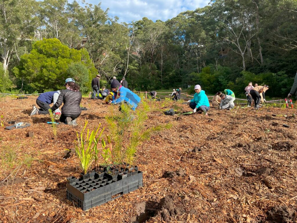 Family Fun Day: Help Plant a Greener Future in Blacktown!